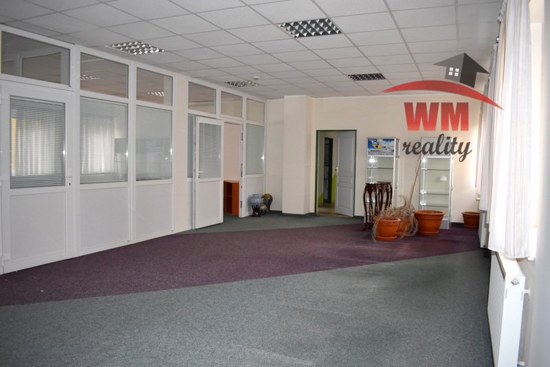 Pronájem kanceláře ve Staré Roli s parkováním