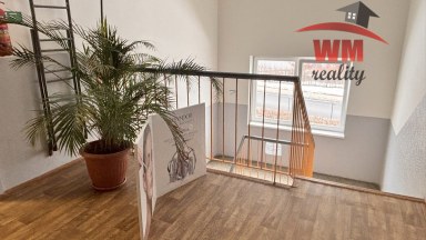 Pronájem kanceláře 36m2 v Sedleci