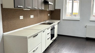 Pronájem bytu 1+1 v Chodově